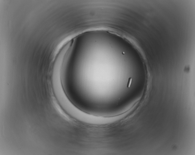 X0000113960805200910162002