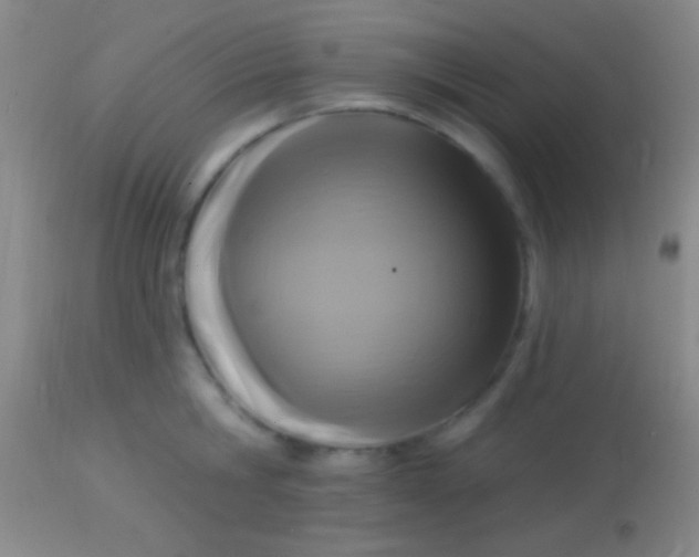 X0000113960806200910162002