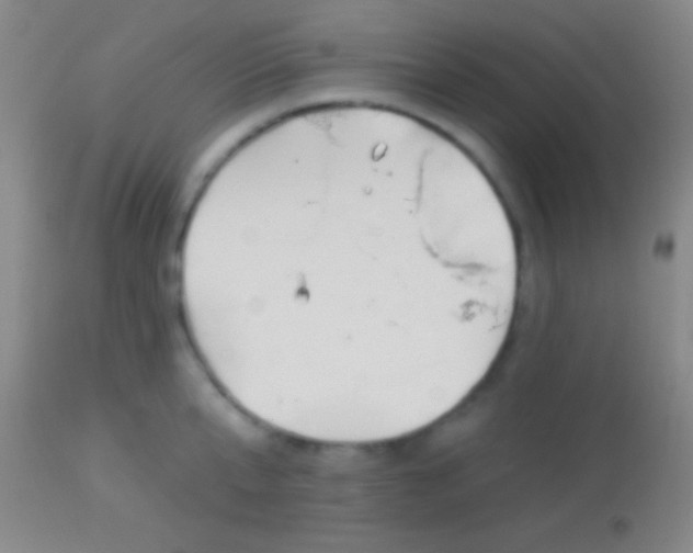 X0000113960807200910162002