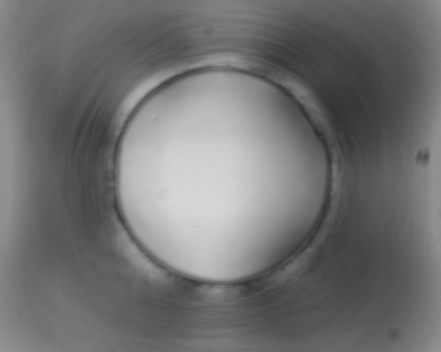 X0000113960808200910162002