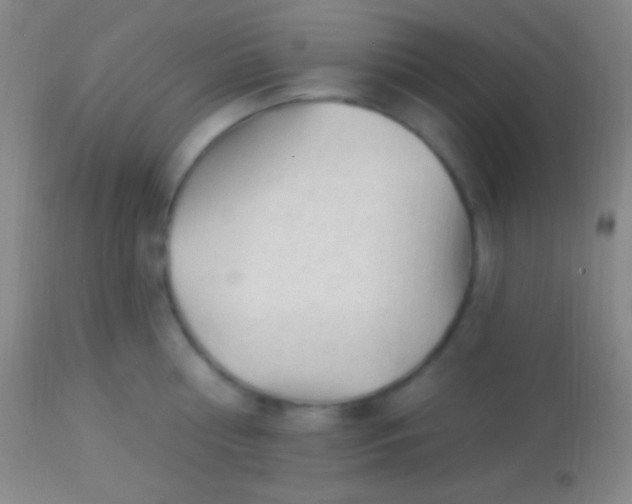 X0000113960810200910162002