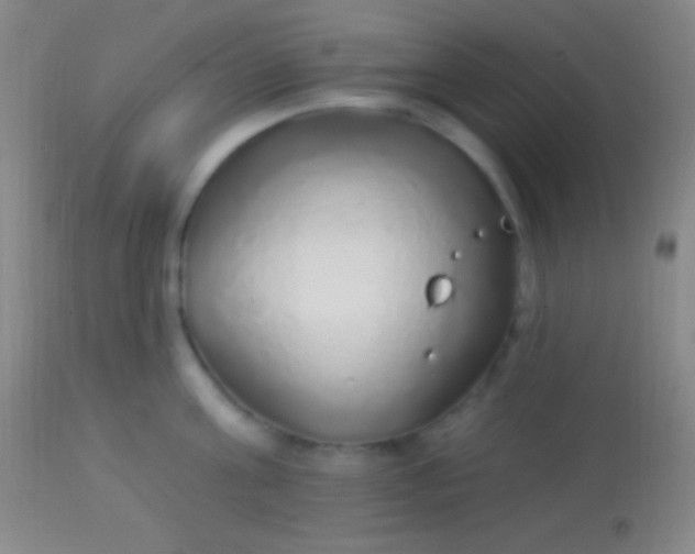 X0000113960811200910162002