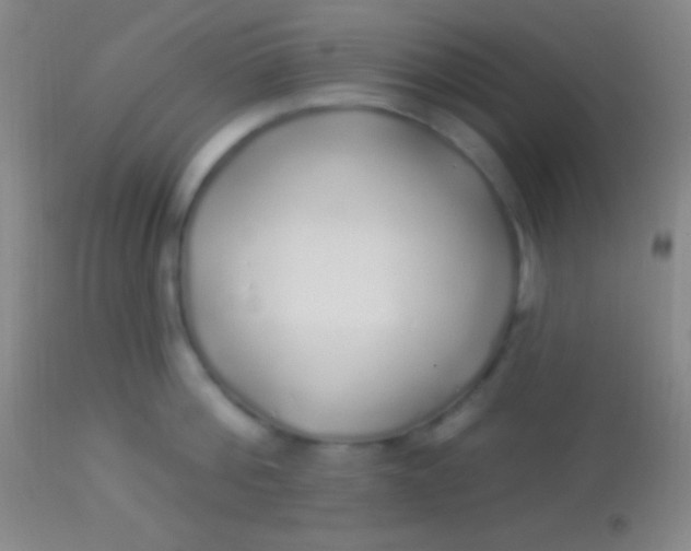 X0000113960812200910162002