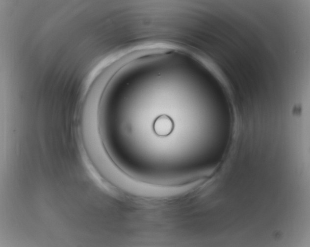 X0000113960813200910162002