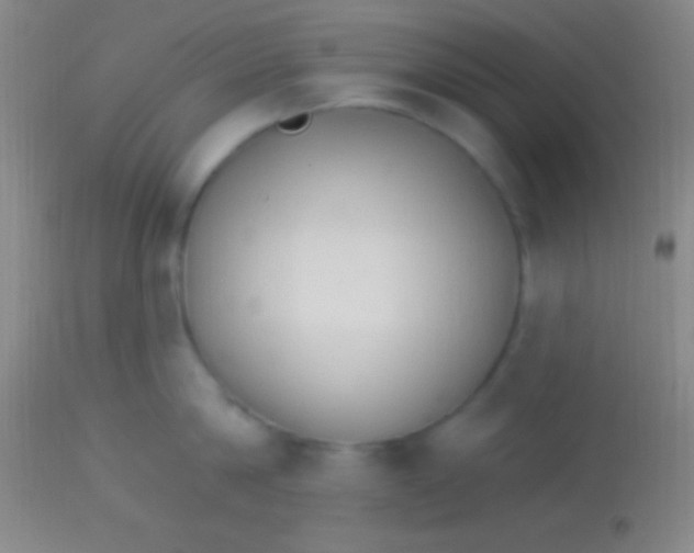 X0000113960814200910162002