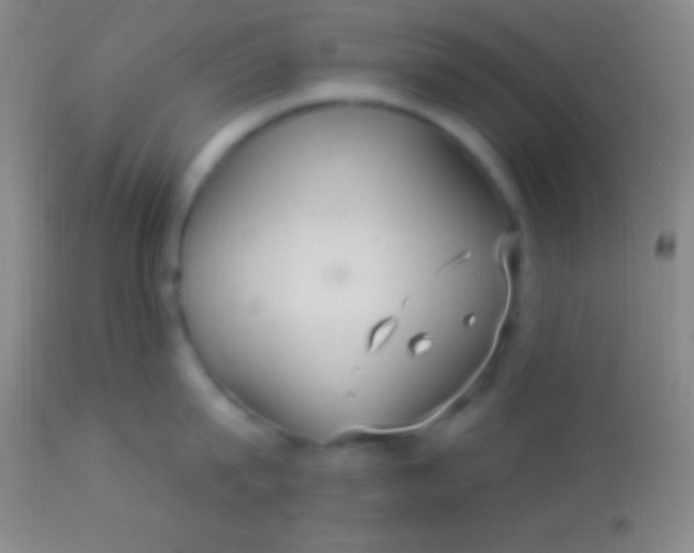 X0000113960815200910162002