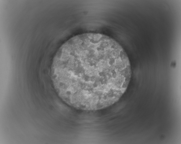 X0000113960817200910162001