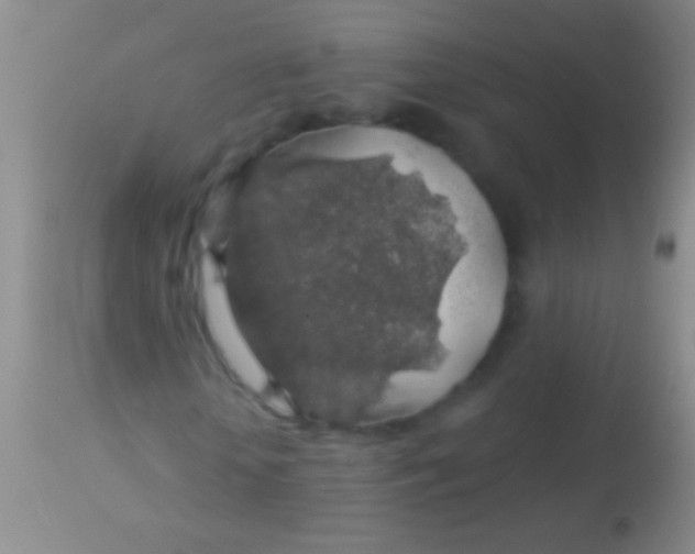 X0000113960818200910162001