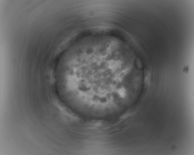 X0000113960819200910162001