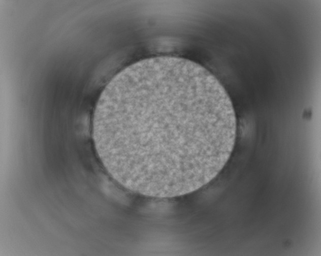 X0000113960820200910162001