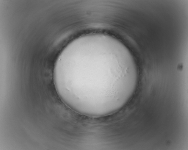 X0000113960821200910162001