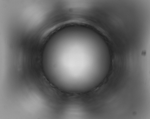 X0000113960822200910162001