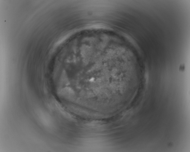 X0000113960823200910162001