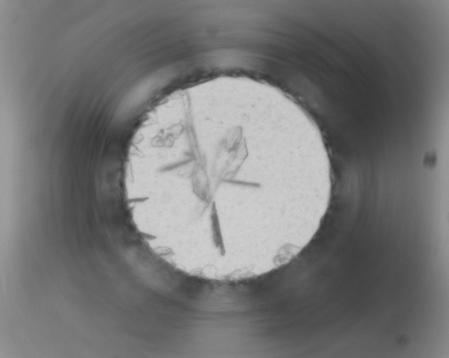 X0000113960824200910162001