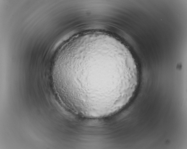 X0000113960826200910162001