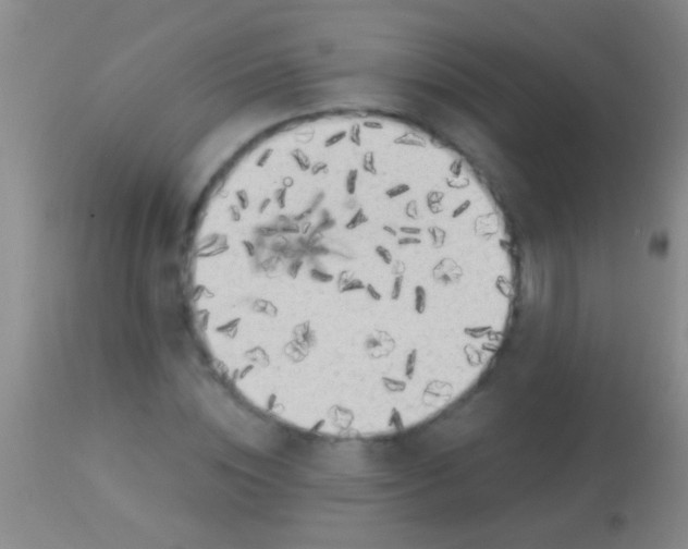 X0000113960828200910162001