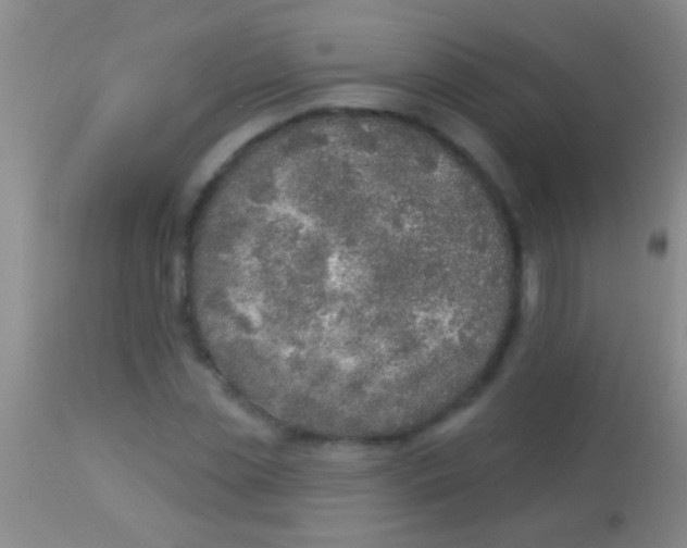 X0000113960829200910162001