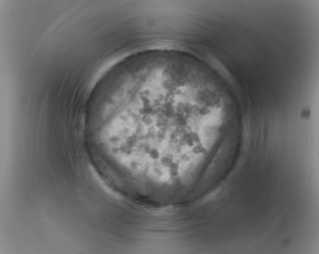 X0000113960831200910162001