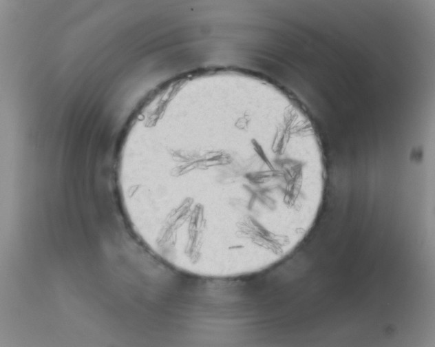 X0000113960832200910162001