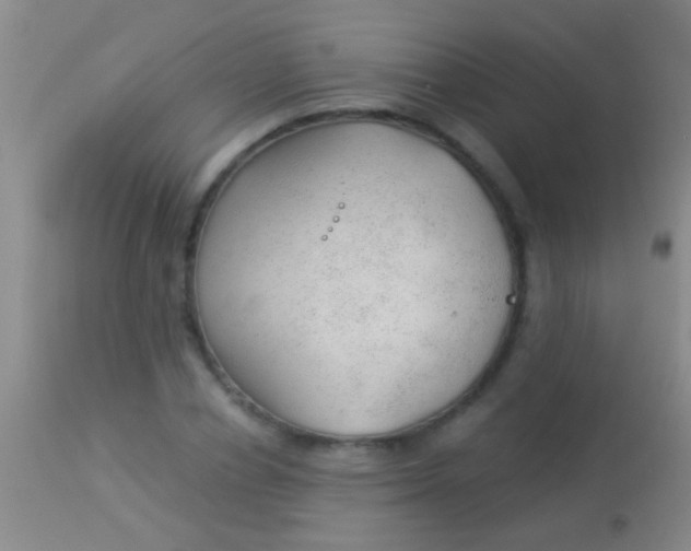 X0000113960834200910162001