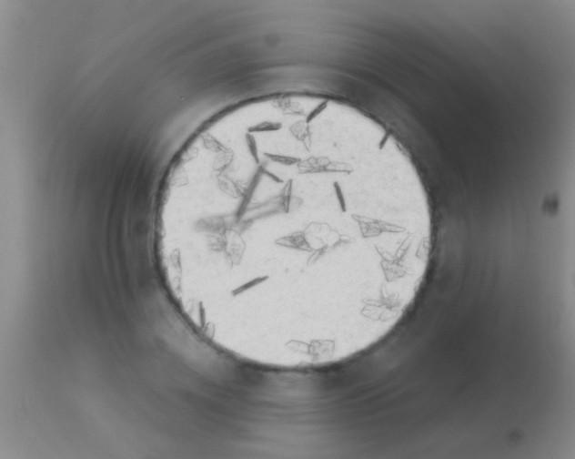 X0000113960836200910162001