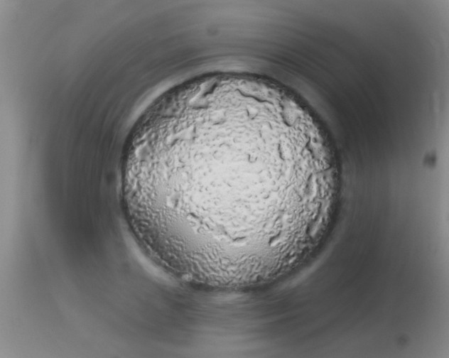 X0000113960837200910162001