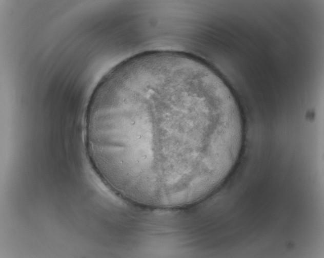 X0000113960840200910162002