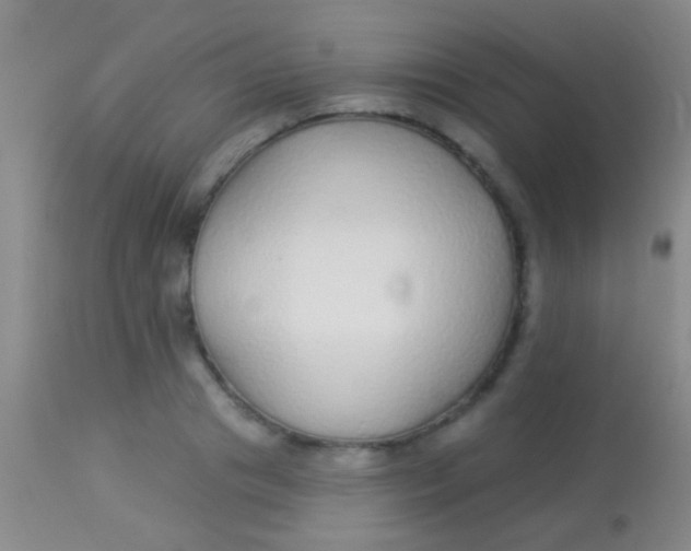 X0000113960841200910162002