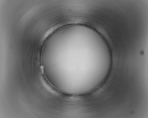 X0000113960842200910162002