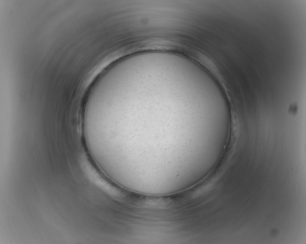 X0000113960843200910162002