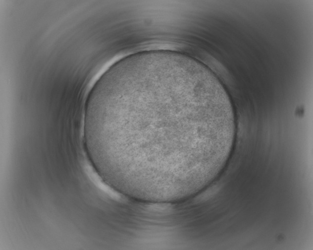 X0000113960844200910162002