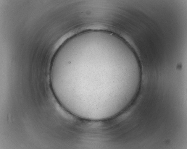 X0000113960845200910162002