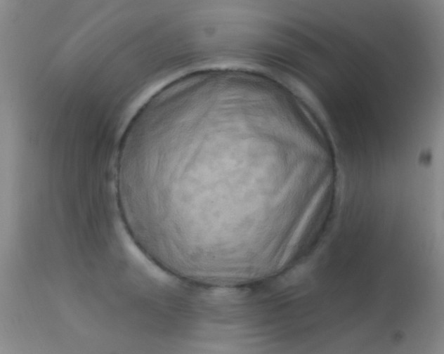 X0000113960847200910162002