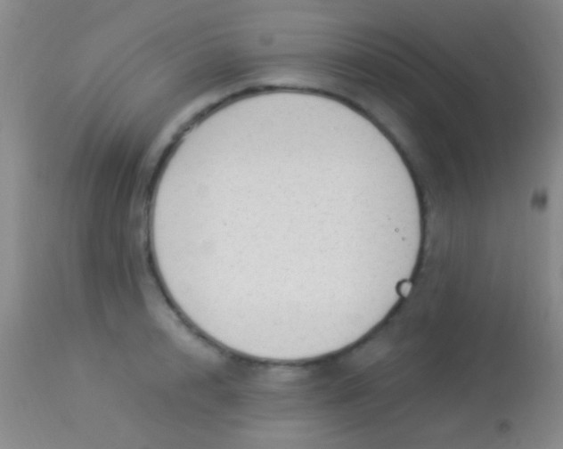 X0000113960848200910162002