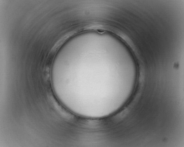 X0000113960849200910162002