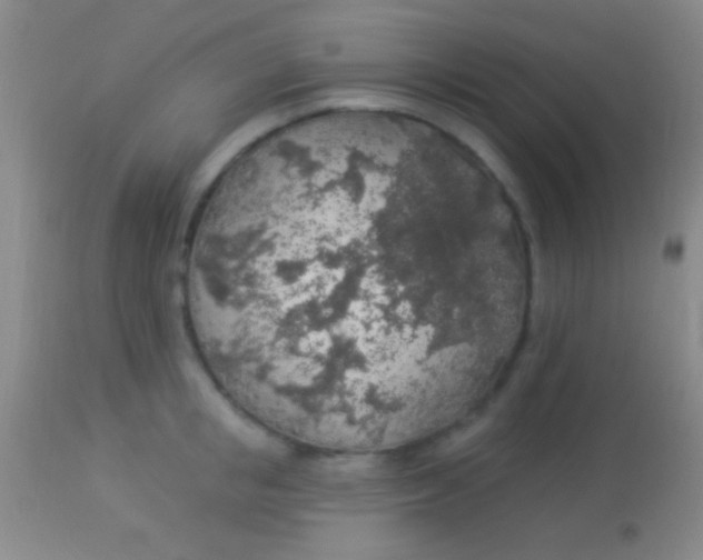 X0000113960853200910162002