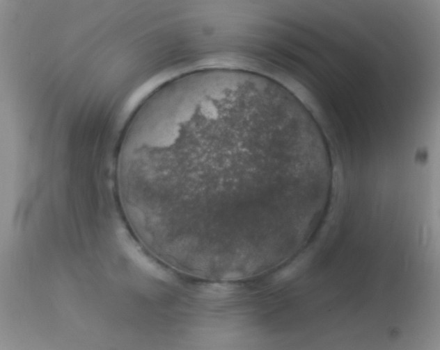 X0000113960854200910162002