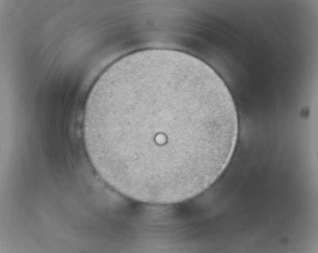 X0000113960856200910162002