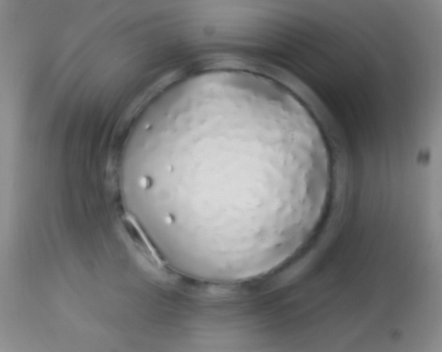 X0000113960857200910162002