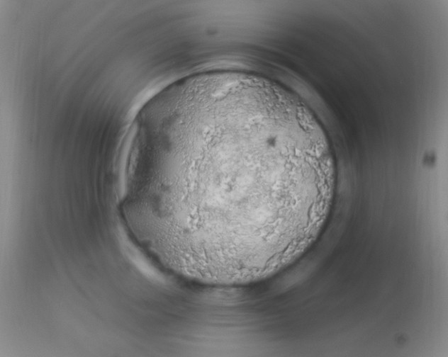 X0000113960858200910162002