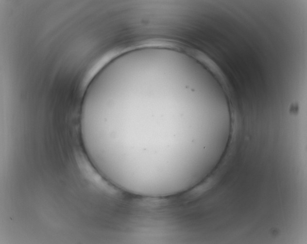 X0000113960860200910162002