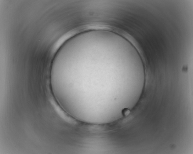 X0000113960861200910162002