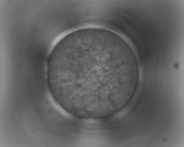 X0000113960862200910162002