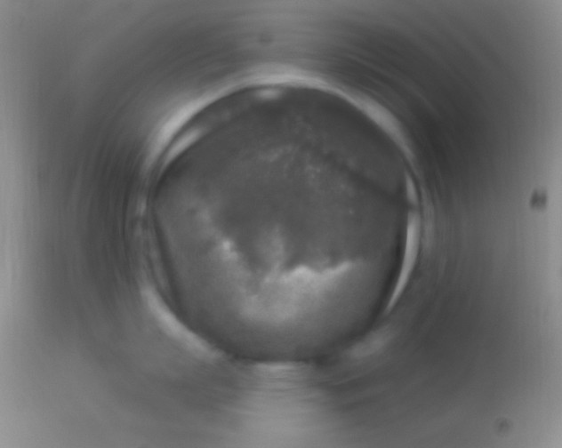 X0000113960863200910162002