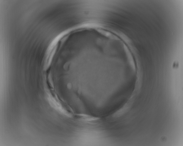 X0000113960864200910162002