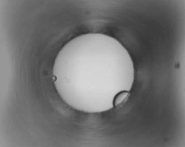 X0000113960865200910162001