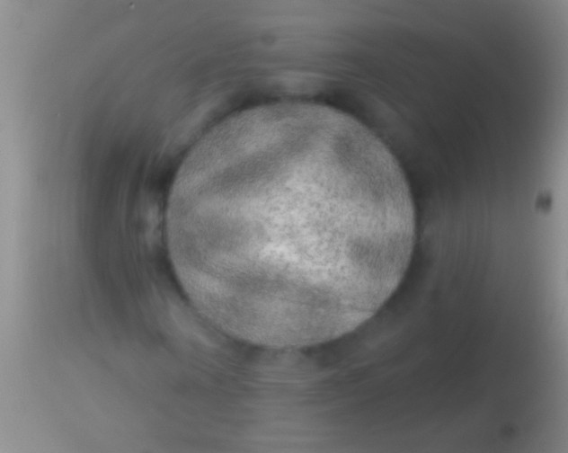 X0000113960866200910162001