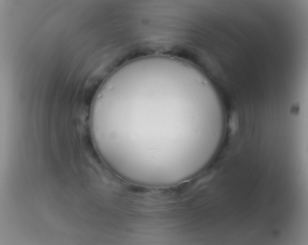 X0000113960867200910162001