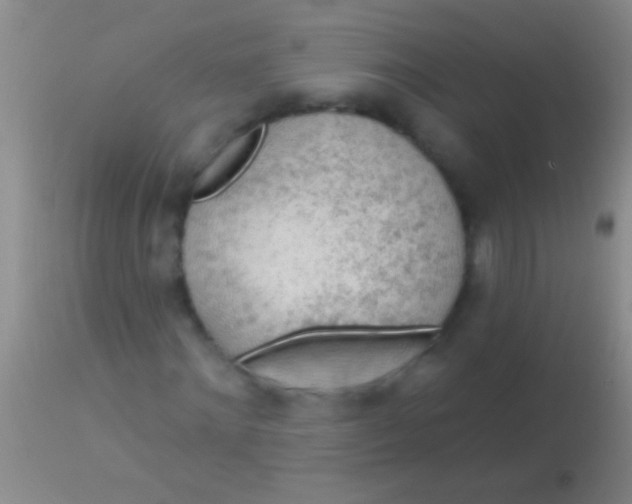 X0000113960868200910162001