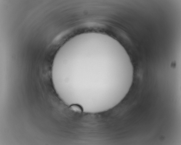 X0000113960869200910162001